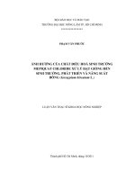   ẢNH HƯỞNG CỦA CHẤT ĐIỀU HOÀ SINH TRƯỞNG  MEPIQUAT CHLORIDE XỬ LÝ HẠT GIỐNG ĐẾN   SINH TRƯỞNG, PHÁT TRIỂN VÀ NĂNG SUẤT   BÔNG (Gossypium hirsutum L.)   