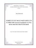    NGHIÊN CỨU KỸ THUẬT NHÂN GIỐNG CÂY  SA NHÂN TÍM (Amomum longiligulare T.L.Wu)  BẰNG PHƯƠNG PHÁP GIÂM HOM   