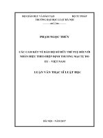 Các cam kết về bảo hộ sở hữu trí tuệ đối với nhãn hiệu theo hiệp định thương mại tự do EU   việt nam  