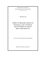     NGHIÊN CỨU BỆNH GHẺ CỦ KHOAI TÂY   DO Streptomyces scabies VÀ ĐÁNH GIÁ   KHẢ NĂNG KHÁNG CỦA MỘT SỐ   DÒNG  GIỐNG KHOAI TÂY 
