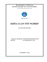 Nghiên cứu các tác động đến môi trường từ hoạt động sản xuất giày da và đề xuất biện pháp giảm thiểu (Khóa luận tốt nghiệp)