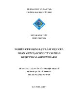Nghiên cứu động lực làm việc của nhân viên tại Công ty cổ phần dược phẩm Agimexpharm