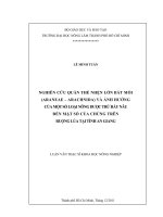   NGHIÊN CỨU QUẦN THỂ NHỆN LỚN BẮT MỒI  (ARANEAE – ARACHNIDA) VÀ ẢNH HƯỞNG  CỦA MỘT SỐ LOẠI NÔNG DƯỢC TRỪ RẦY NÂU  ĐẾN MẬT SỐ CỦA CHÚNG TRÊN  RUỘNG LÚA TẠI TỈNH AN GIANG       