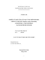   NGHIÊN CỨU KHẢ NĂNG GÂY HẠI VÀ ĐẶC ĐIỂM SINH HỌC  CHÍNH CỦA MỌT BẮP, Sitophilus zeamays Motschulsky  (COLEOPTERA : CURCULIONIDAE)  TẠI THÀNH PHỐ HỒ CHÍ MINH   