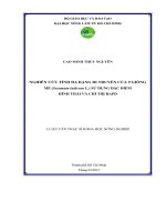   NGHIÊN CỨU TÍNH ĐA DẠNG DI TRUYỀN CỦA 9 GIỐNG  MÈ (Sesamum indicum L.) SỬ DỤNG ĐẶC ĐIỂM   HÌNH THÁI VÀ CHỈ THỊ RAPD