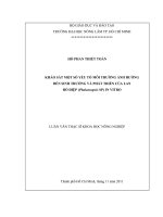   KHẢO SÁT MỘT SỐ YẾU TỐ MÔI TRƯỜNG ẢNH HƯỞNG  ĐẾN SINH TRƯỞNG VÀ PHÁT TRIỂN CỦA LAN  HỒ ĐIỆP (Phalaenopsis SP) IN VITRO   
