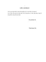 Nghiên cứu và phòng chống tấn công từ chối dịch vụ phân tán vào các website (Luận văn thạc sĩ)