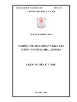 Nghiên cứu kiểu hình và kiểu gen ở bệnh nhi betaThalassmia (Luận án tiến sĩ)