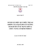 Đánh giá hiệu quả điều trị sai khớp cắn loại II do lùi xương hàm dưới có sử dụng khí cụ chức năng cố định Forsus (Luận án tiến sĩ)