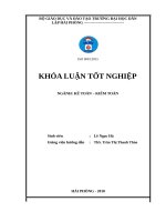 Hoàn thiện công tác kế toán hàng hóa tại công ty trách nhiệm hữu hạn đầu tư và phát triển thương mại trường anh 