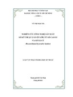   NGHIÊN CỨU CÔNG NGHỆ SẢN XUẤT   GỖ KỸ THUẬT (VÁN ÉP LỚP) TỪ GỖ CAO SU   VÀ GỖ XÀ CỪ  (Reconstituted decorative lumber)   