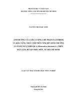 ẢNH HƯỞNG CỦA LIỀU LƯỢNG CHẾ PHẨM NATURBOR  VÀ KHẢ NĂNG THAY THẾ PHÂN NPK ĐẾN SINH TRƯỞNG  VÀ NĂNG SUẤT KHỔ QUA (Momordica charantia L.) TRÊN  ĐẤT XÁM, HUYỆN HÓC MÔN, TP. HỒ CHÍ MINH   