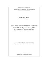   HOÀN THIỆN QUY TRÌNH CANH TÁC RAU MẦM   CỦ CẢI TRẮNG (Raphanus sativus L.) TRÊN   ĐỊA BÀN THÀNH PHỐ HỒ CHÍ MINH   