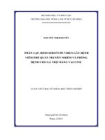       PHÂN LẬP, ĐỊNH SEROTYPE VIRUS GÂY BỆNH   VIÊM PHẾ QUẢN TRUYỀN NHIỄM VÀ PHÒNG   BỆNH CHO GÀ THỊT BẰNG VACCINE       