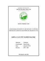 Đánh giá hiệu quả kinh tế chè trung du của nông hộ trên địa bàn xã minh lập   huyện đồng hỷ   tỉnh thái nguyên 