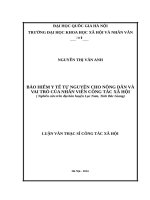 BẢO HIỂM y tế tự NGUYỆN CHO NÔNG dân và VAI TRÒ của NHÂN VIÊN CÔNG tác xã hội