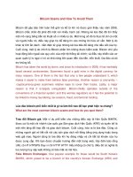 Song ngữ  Bitcoin scams and how to avoid them