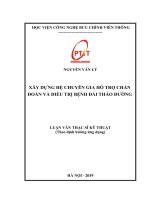 Xây dựng hệ chuyên gia hỗ trợ chuẩn đoán và điều trị bệnh đái tháo đường (Luận văn thạc sĩ)