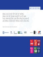 NÂNG CAO CƠ HỘI TIẾP CẬN THỊ TRƯỜNG DÀNH CHO CÁC DOANH NGHIỆP TẠI VIỆT NAM: THỰC HÀNH NGUỒN CUNG BỀN VỮNG VÀ QUAN HỆ LAO ĐỘNG CÓ ĐẠO ĐỨC TRONG CHUỖI CUNG ỨNG