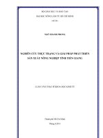 NGHIÊN CỨU THỰC TRẠNG VÀ GIẢI PHÁP PHÁT TRIỂN  SẢN XUẤT NÔNG NGHIỆP TỈNH TIỀN GIANG 