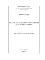   KHẢO SÁT, ĐIỀU TRỊ BỆNH VIÊM TỬ CUNG TRÊN CHÓ  TẠI THÀNH PHỐ HỒ CHÍ MINH 