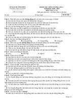 Đề thi KSCL môn Vật lý lớp 10, năm 2019