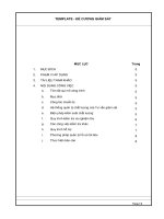 Mẫu- Đề cương giám sát & Quy trình giám sát - LÊ HUỆ