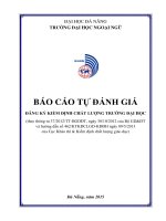 BÁO CÁO TỰ ĐÁNH GIÁ ĐĂNG KÝ KIỂM ĐỊNH CHẤT LƯỢNG TRƯỜNG ĐẠI HỌC NGOẠI NGỮ