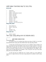 HIỆP ĐỊNH THƯƠNG MẠI TỰ DO FTA