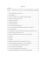 nghiên cứu, phân tích các khó khăn trong quá trình xây dựng các công  trình bảo vệ bờ  sông trên nền đất yếu