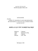 Nghiên cứu ảnh hưởng của một số loại dung dịch dinh dưỡng đến sinh trưởng, phát triển của giống dưa lưới hàn quốc tại thái nguyên 