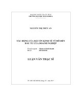 LUẬN VĂN TÁC ĐỘNG CỦA BẤT ỔN KINH TẾ VĨ MÔ ĐẾN ĐẦU TƢ CỦA DOANH NGHIỆP