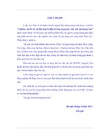 “Nghiên cứu bố trí vật liệu hợp lý đập bê tông trọng lực trên nền đá phong hóa” 