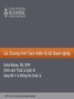 Các Chương trình Trách nhiệm Xã hội Doanh nghiệp