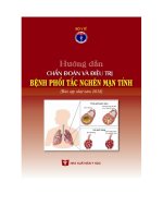 HƯỚNG DẪN CHẨN ĐOÁN VÀ ĐIỀU TRỊ BỆNH PHỔI TẮC NGHẼN MẠN TÍNH