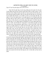 Bai v dinh dng tau ngm gi TCHCNN 24 