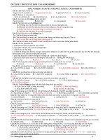 ESTE  CACBOHDAT LT doc