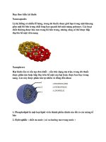 Hạt tải thuốc nano đã chuyển đổi 