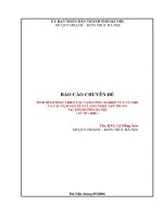 BÁO CÁO CHUYÊN ĐỀ TÌNH HÌNH PHÁT TRIỂN CÁC CỤM CÔNG NGHIỆP VỪA VÀ NHỎ   VÀ CÁC CỤM SẢN XUẤT LÀNG NGHỀ TẬP TRUNG   TẠI THÀNH PHỐ HÀ NỘI