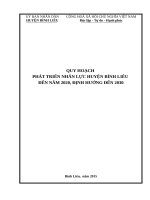 QUY HOẠCH PHÁT TRIỂN NHÂN LỰC HUYỆN BÌNH LIÊU ĐẾN NĂM 2020, ĐỊNH HƯỚNG ĐẾN 2030