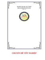 Đồ án Đầu tư phát triển tại Công ty Cổ  phần Đầu tư Phát triển Nước và Môi Trường Đại Việt
