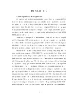 Định hướng và giải pháp thu hút đầu tư trực tiếp nước ngoài ở tỉnh bình định trong giai đoạn hiện nay 