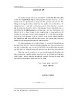  trình bày phương pháp luẬn, cơ so lý thuyết  nghiên cứu lụa  chọn cao trình đỉnh đê hợp lý cho đê cửa sông vùng hạ du các  sông Miền Trung. 
