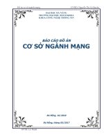 BÀI TOÁN READER/WRITER - GAME CỜ VUA MẠNG LAN -BÁO CÁO ĐỒ ÁN CƠ SỞ MẠNG