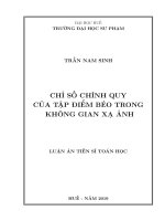 Chỉ số chính quy của tập điểm béo trong không gian xạ ảnh (Luận án tiến sĩ)