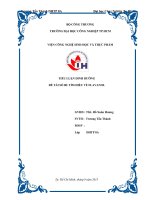 tiu lun dinh dng   tim hiu v flava 