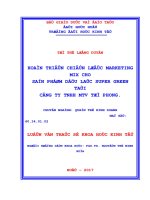 Hoàn thiện chiến lược marketing mix cho sản phẩm dầu lạc super green tại công ty TNHH MTV từ phong 