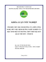 TÌM HIỂU MỨC ĐỘ ẢNH HƢỞNG CỦA MÔN CÔNG  NGHỆ  ĐẾN VIỆC ĐỊNH HƢỚNG NGHỀ NGHIỆP CỦA  HỌC SINH MỘT SỐ TRƢỜNG THPT TRÊN ĐỊA BÀN  QUẬN THỦ ĐỨC –TP.HCM   
