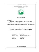 Nghiên cứu đặc điểm lâm học và phân bố tự nhiên của cây đinh thối (hexaneurocarpon briletii p dop) tại xã khuôn hà   huyện lâm bình   tỉnh tuyên quang 