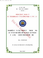 Nghiên cứu các nhân tố ảnh hưởng đến ý định tiêu dùng rau an toàn của người dân thành phố huế 
